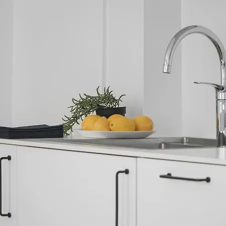 Charmerende Ved Nyhavn 2 Sal Appartement *