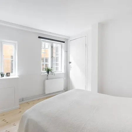 Charmerende Ved Nyhavn 2 Sal Appartement